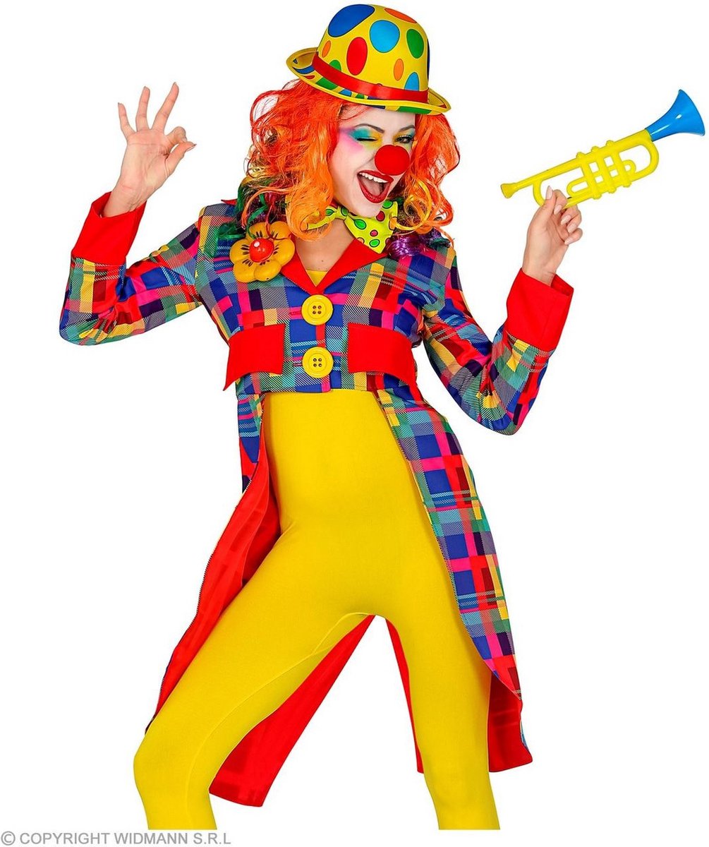 Clown & Nar Kostuum | Moema De Geinige Clown Slipjas Geblokt Vrouw | Large | Carnaval kostuum | Verkleedkleding